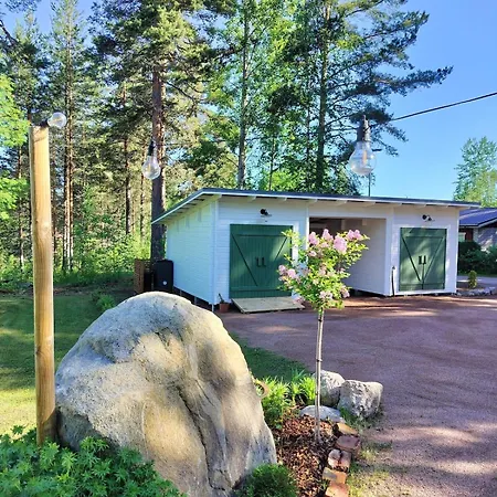 Lentomajakka *