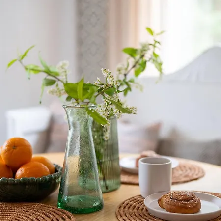 Lentomajakka Vakantiehuis Halli